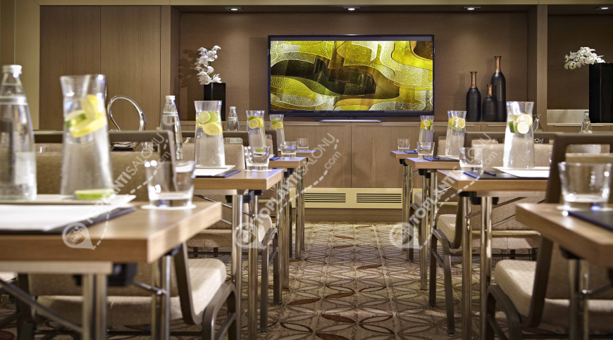 Otel | Türkiye, İstanbul, Beşiktaş, Gayrettepe | RENAISSANCE ISTANBUL POLAT BOSPHORUS HOTEL