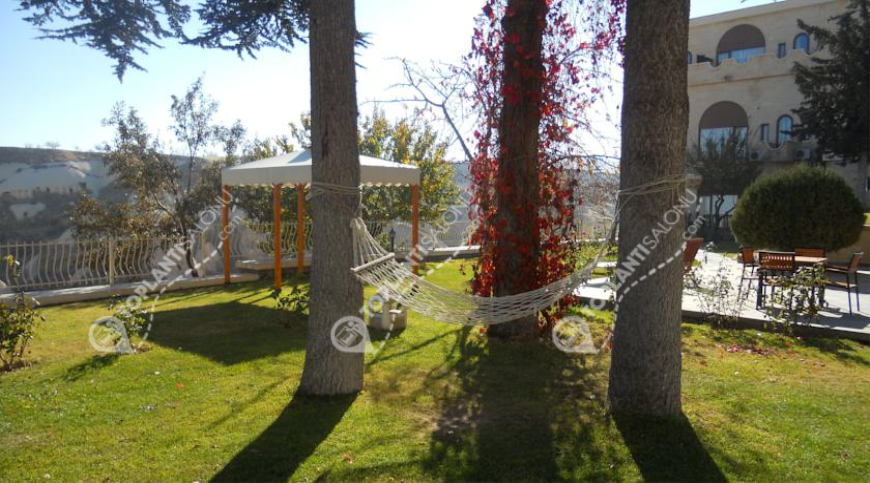 Otel | Türkiye, Nevşehir, Nevşehir, Göre | UÇHISAR KAYA HOTEL