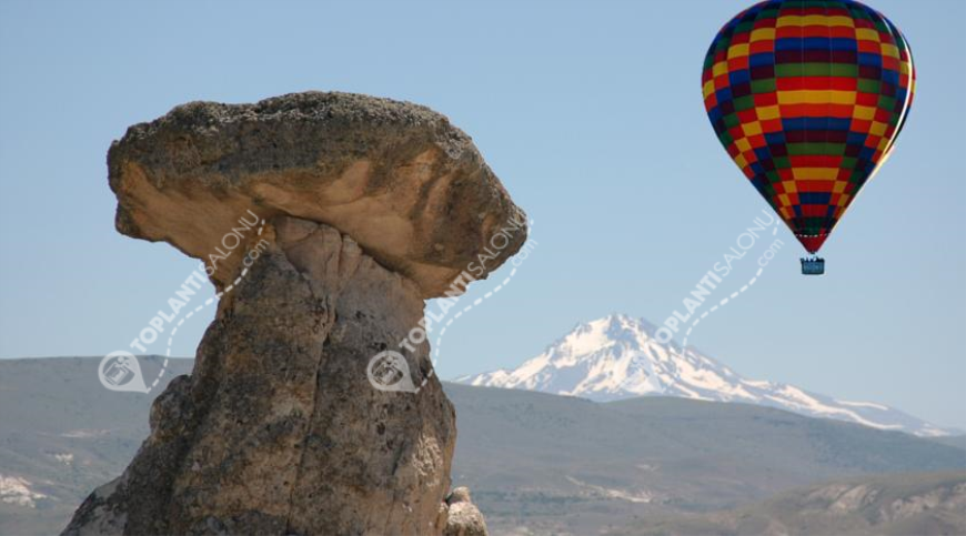 Otel | Türkiye, Nevşehir, Ürgüp, Ürgüp | RAMADA CAPPADOCIA